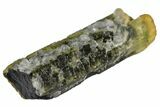 1.4" Beautiful Bicolored Dravite-Elbaite Crystal - Tanzania - #131549-1